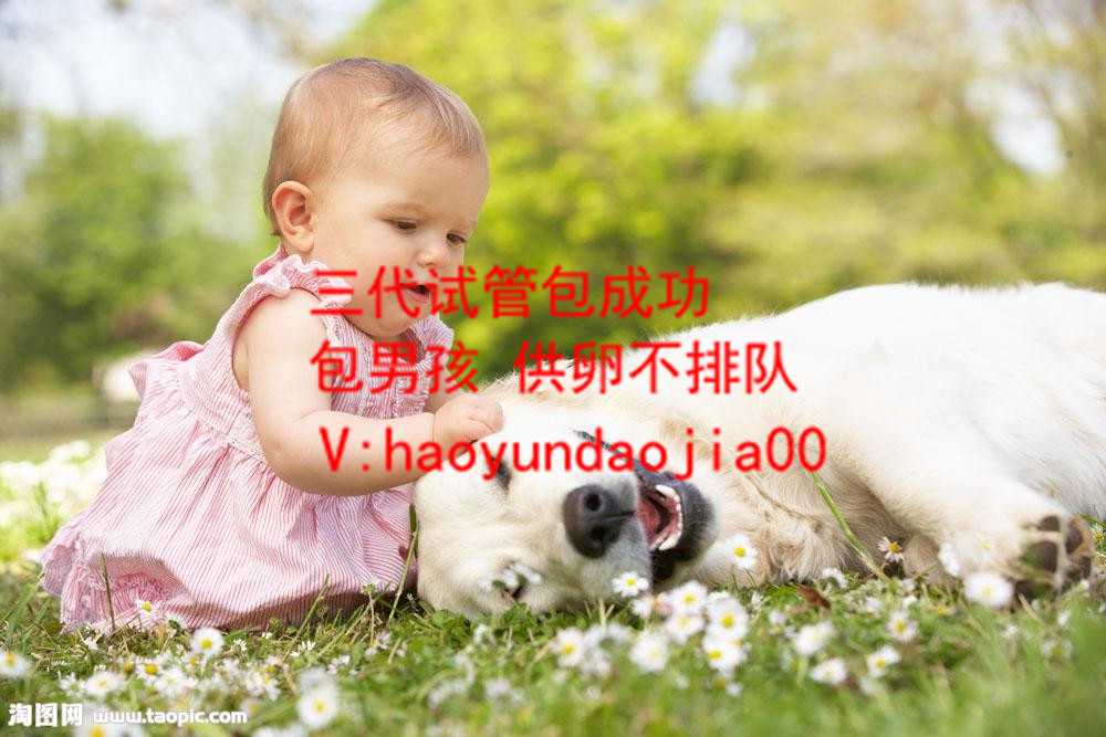 上海代孕服务中心_32012_Y2jcB_健康周刊地贫父母可孕育健康宝宝_79Auu_L9tGi_HSq83